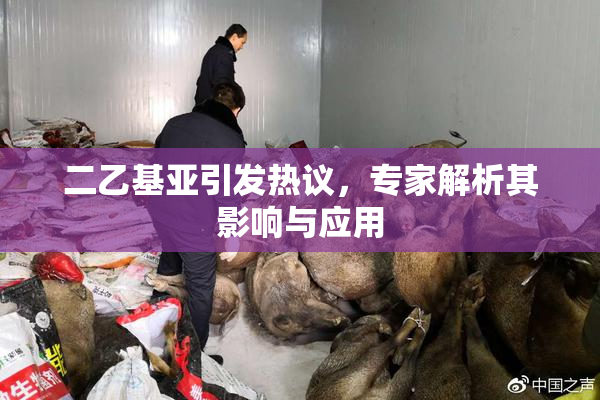 二乙基亚引发热议，专家解析其影响与应用