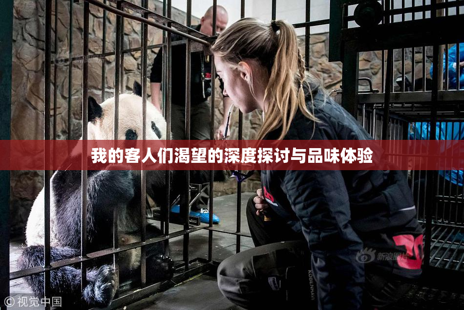 我的客人们渴望的深度探讨与品味体验