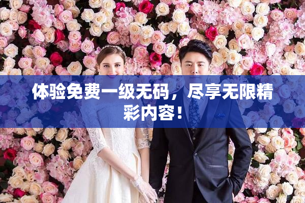 体验免费一级无码，尽享无限精彩内容！