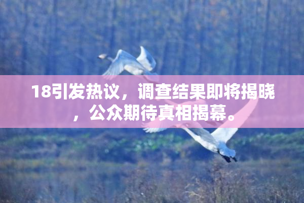 18引发热议，调查结果即将揭晓，公众期待真相揭幕。