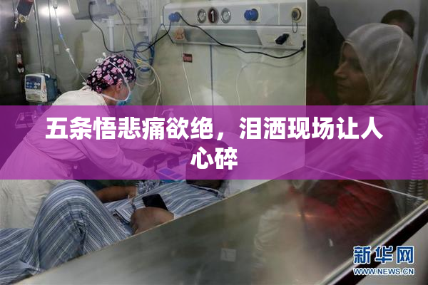 五条悟悲痛欲绝，泪洒现场让人心碎