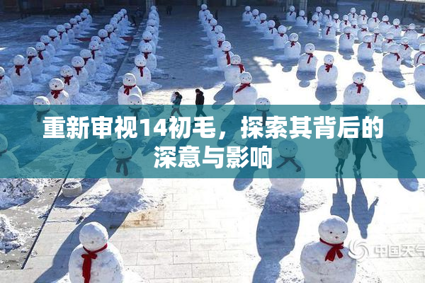 重新审视14初毛，探索其背后的深意与影响