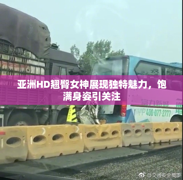 亚洲HD翘臀女神展现独特魅力，饱满身姿引关注