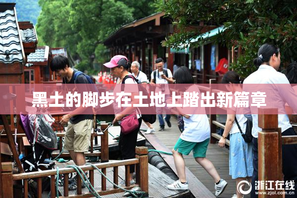 黑土的脚步在土地上踏出新篇章