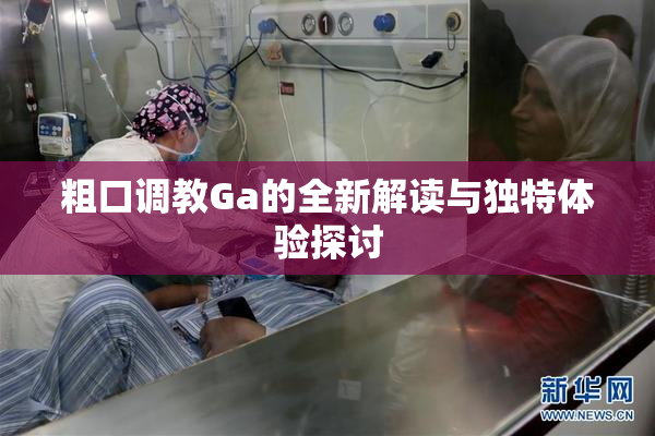 粗口调教Ga的全新解读与独特体验探讨