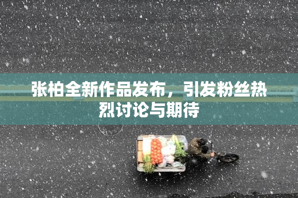 张柏全新作品发布，引发粉丝热烈讨论与期待