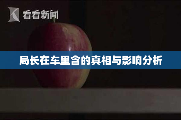 局长在车里含的真相与影响分析