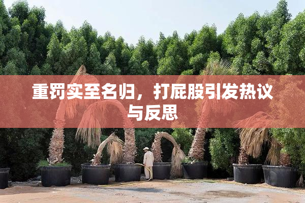 重罚实至名归，打屁股引发热议与反思