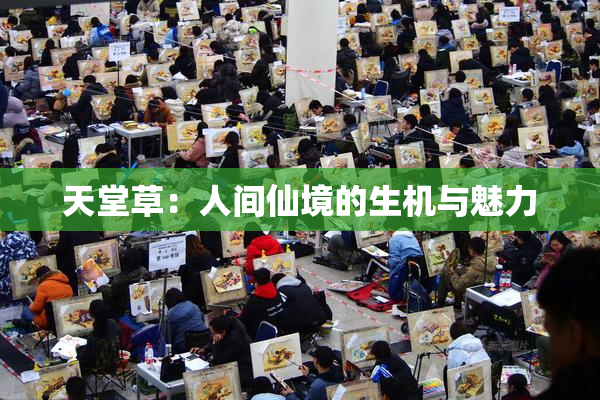 天堂草：人间仙境的生机与魅力