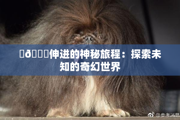 ‌🍌伸进的神秘旅程：探索未知的奇幻世界