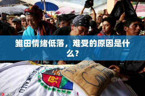 雏田情绪低落，难受的原因是什么？