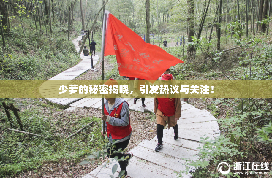 少萝的秘密揭晓，引发热议与关注！