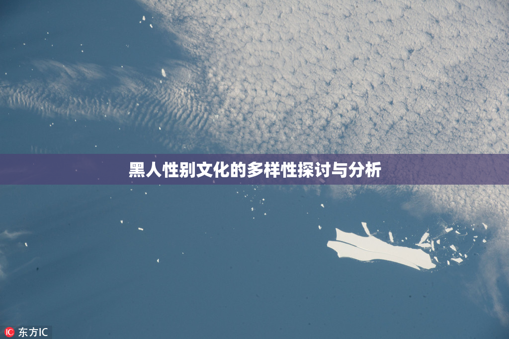 黑人性别文化的多样性探讨与分析