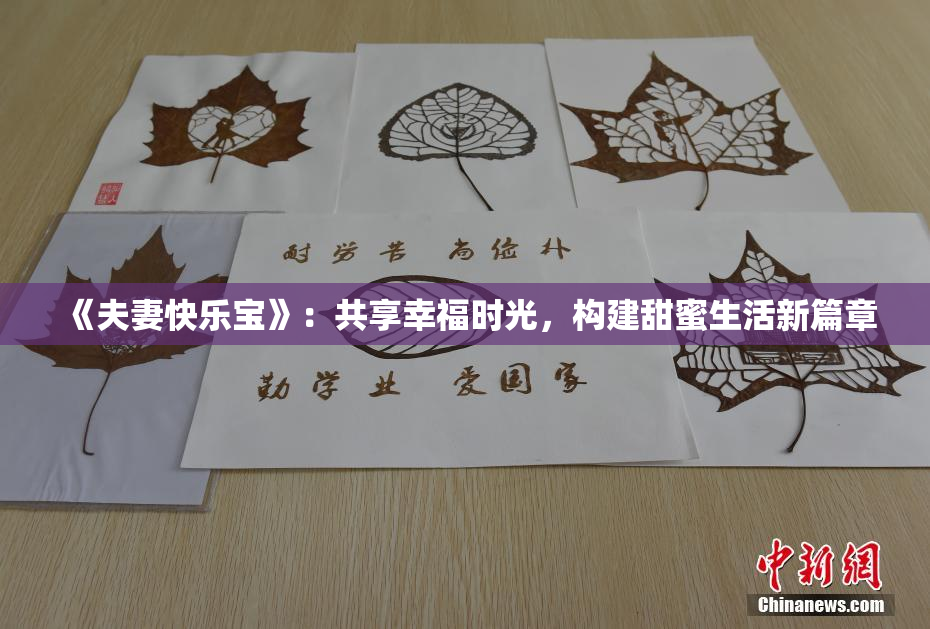 《夫妻快乐宝》：共享幸福时光，构建甜蜜生活新篇章