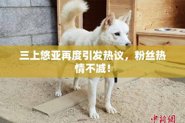 三上悠亚再度引发热议，粉丝热情不减！