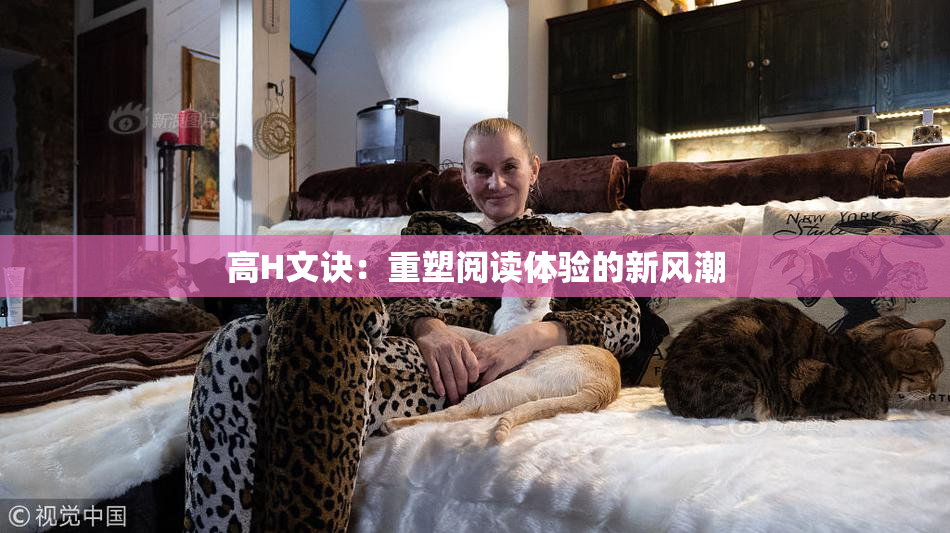 高H文诀：重塑阅读体验的新风潮
