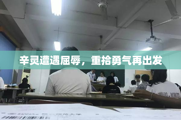 辛灵遭遇屈辱，重拾勇气再出发