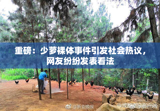 重磅：少萝裸体事件引发社会热议，网友纷纷发表看法