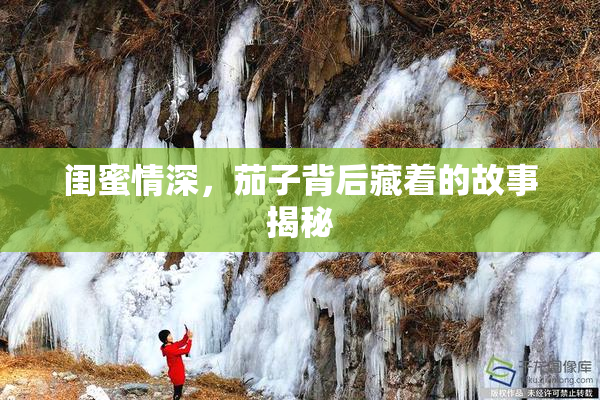 闺蜜情深，茄子背后藏着的故事揭秘