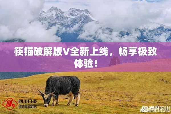 筷锚破解版V全新上线，畅享极致体验！