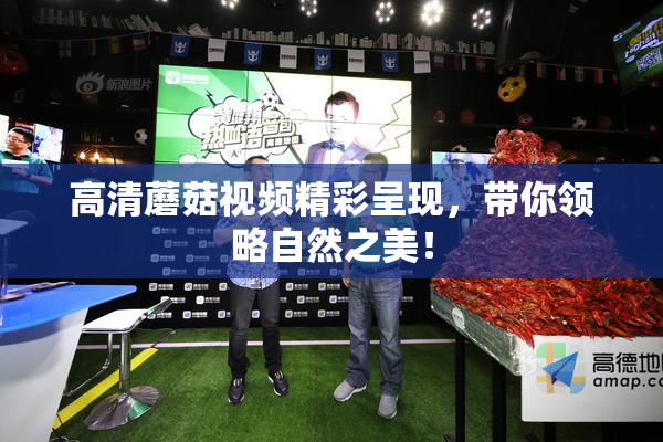 高清蘑菇视频精彩呈现，带你领略自然之美！