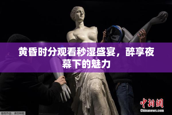 黄昏时分观看秒湿盛宴，醉享夜幕下的魅力