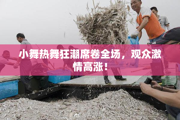 小舞热舞狂潮席卷全场，观众激情高涨！