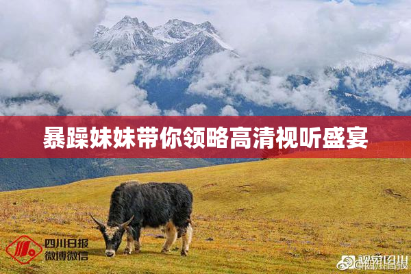 暴躁妹妹带你领略高清视听盛宴