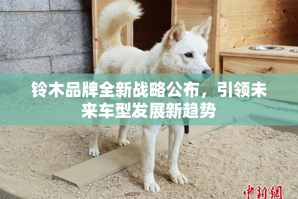 铃木品牌全新战略公布，引领未来车型发展新趋势