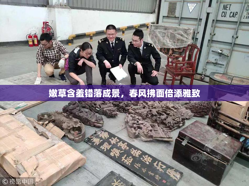 嫩草含羞错落成景，春风拂面倍添雅致
