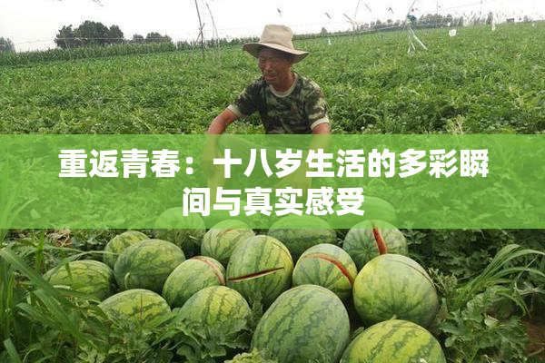 重返青春：十八岁生活的多彩瞬间与真实感受