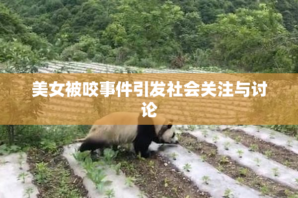 美女被咬事件引发社会关注与讨论