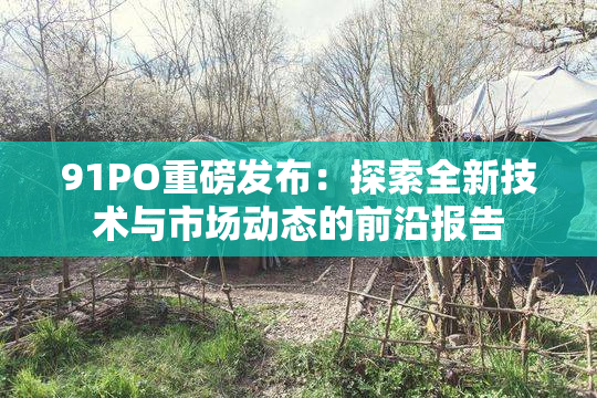 91PO重磅发布：探索全新技术与市场动态的前沿报告