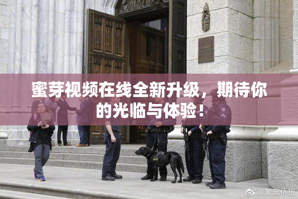 蜜芽视频在线全新升级，期待你的光临与体验！