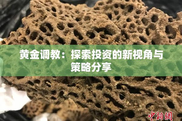 黄金调教：探索投资的新视角与策略分享