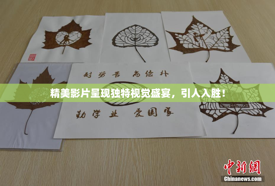 精美影片呈现独特视觉盛宴，引人入胜！