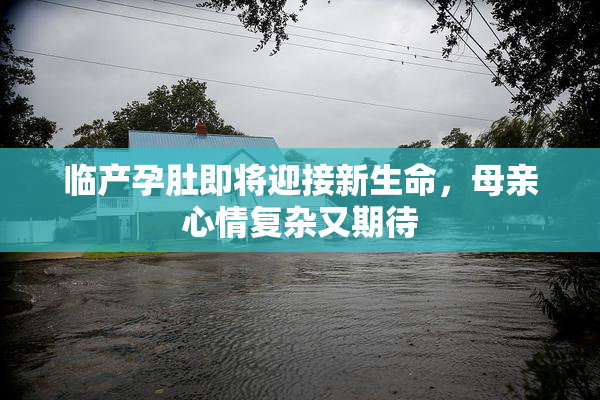 临产孕肚即将迎接新生命，母亲心情复杂又期待