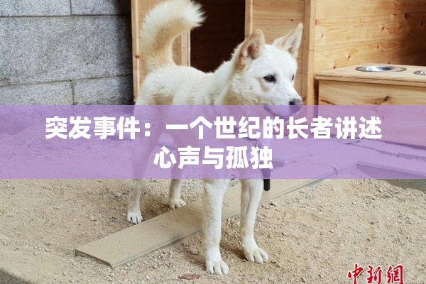 突发事件：一个世纪的长者讲述心声与孤独