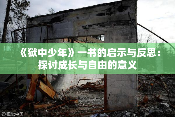 《狱中少年》一书的启示与反思：探讨成长与自由的意义