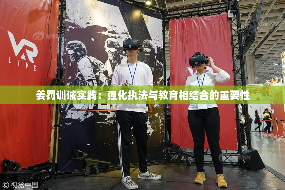 姜罚训诫实践：强化执法与教育相结合的重要性