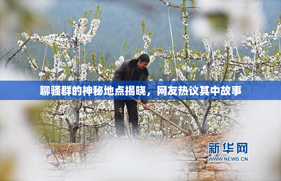 聊骚群的神秘地点揭晓，网友热议其中故事
