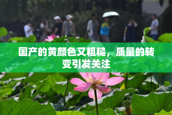 国产的黄颜色又粗糙，质量的转变引发关注