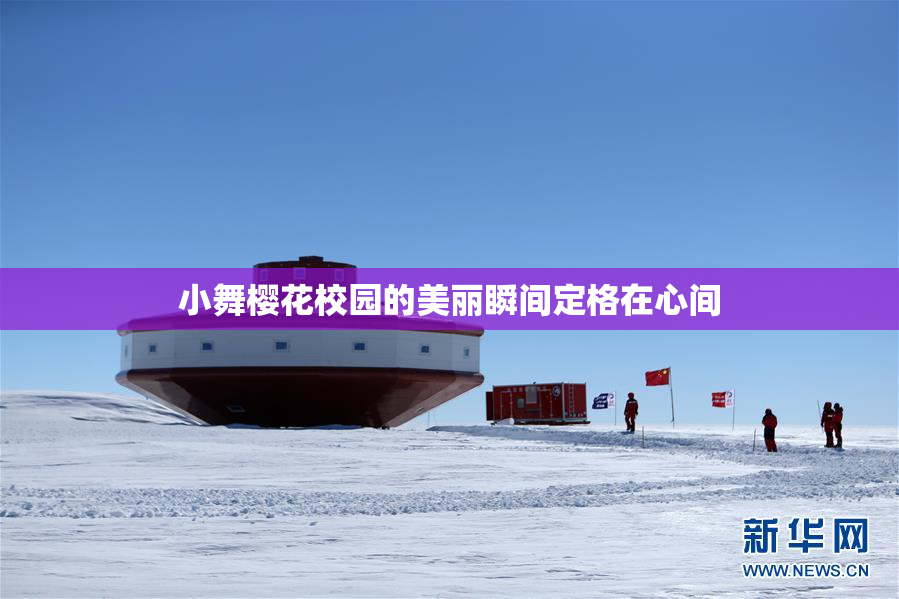 小舞樱花校园的美丽瞬间定格在心间