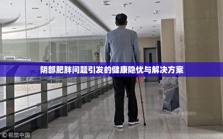 阴部肥胖问题引发的健康隐忧与解决方案