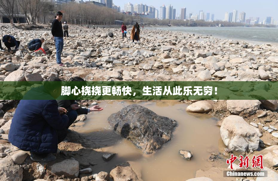 脚心挠挠更畅快，生活从此乐无穷！