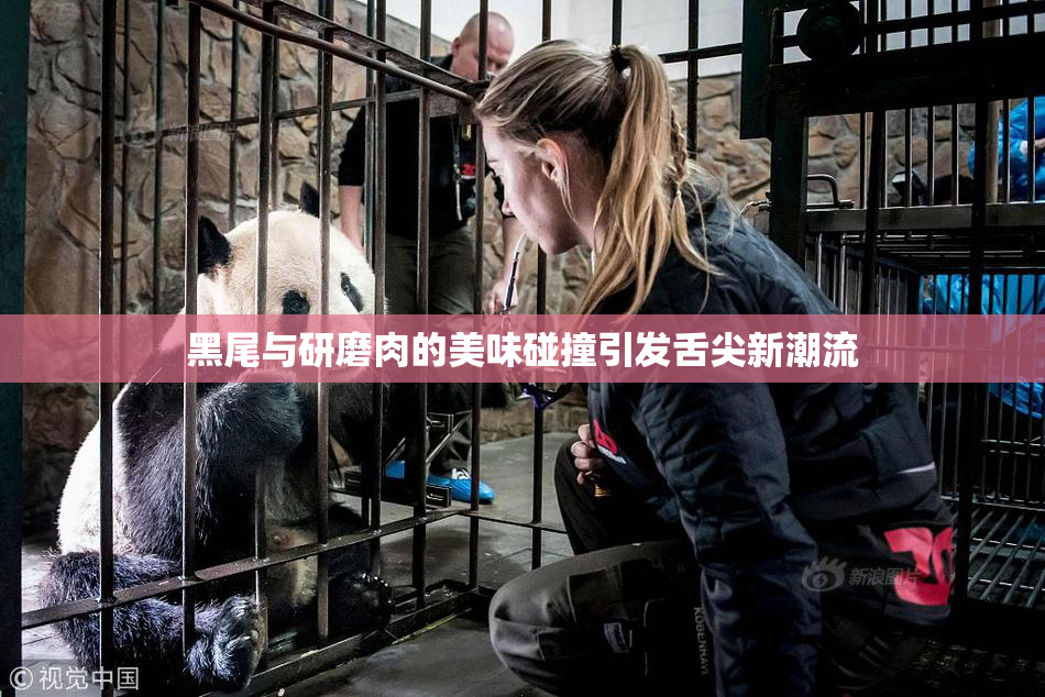 黑尾与研磨肉的美味碰撞引发舌尖新潮流