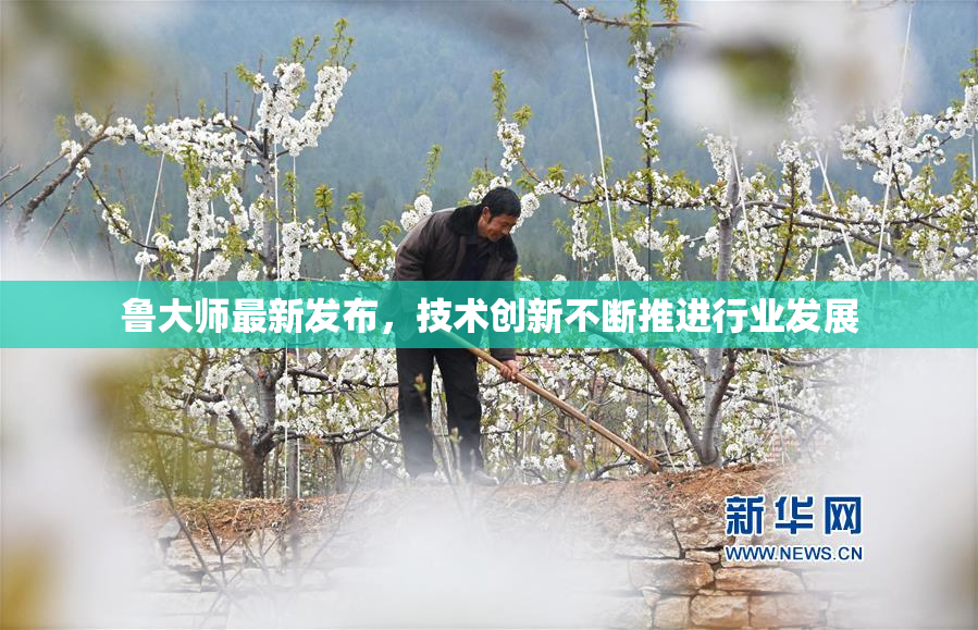 鲁大师最新发布，技术创新不断推进行业发展