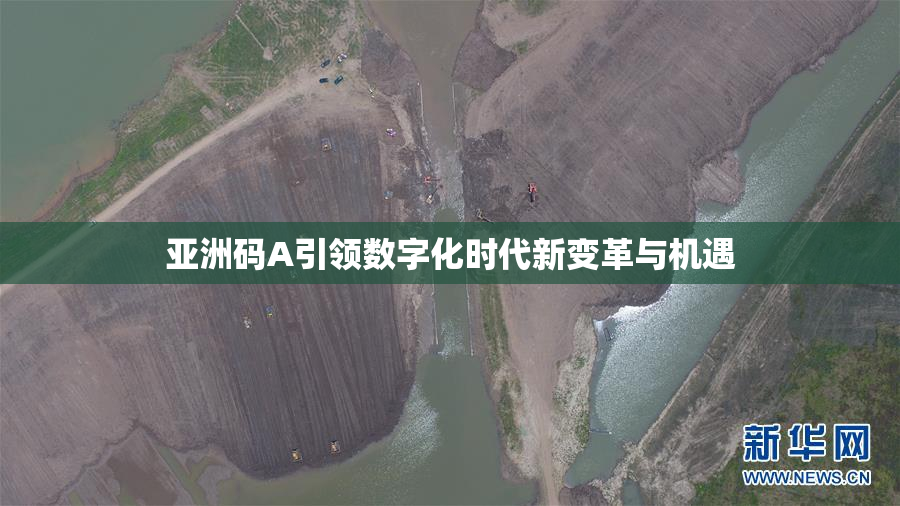 亚洲码A引领数字化时代新变革与机遇