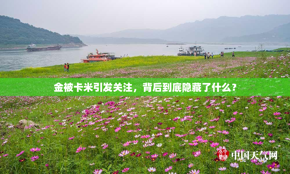 金被卡米引发关注，背后到底隐藏了什么？
