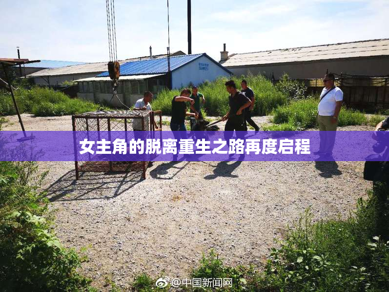 女主角的脱离重生之路再度启程